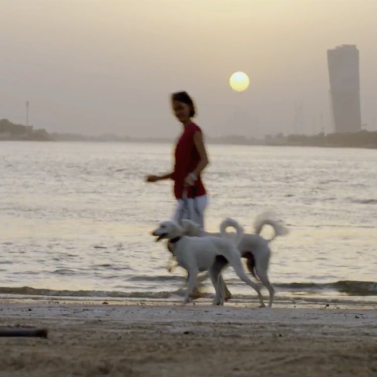 Life in Abu Dhabi: Sunset overlooking the beach