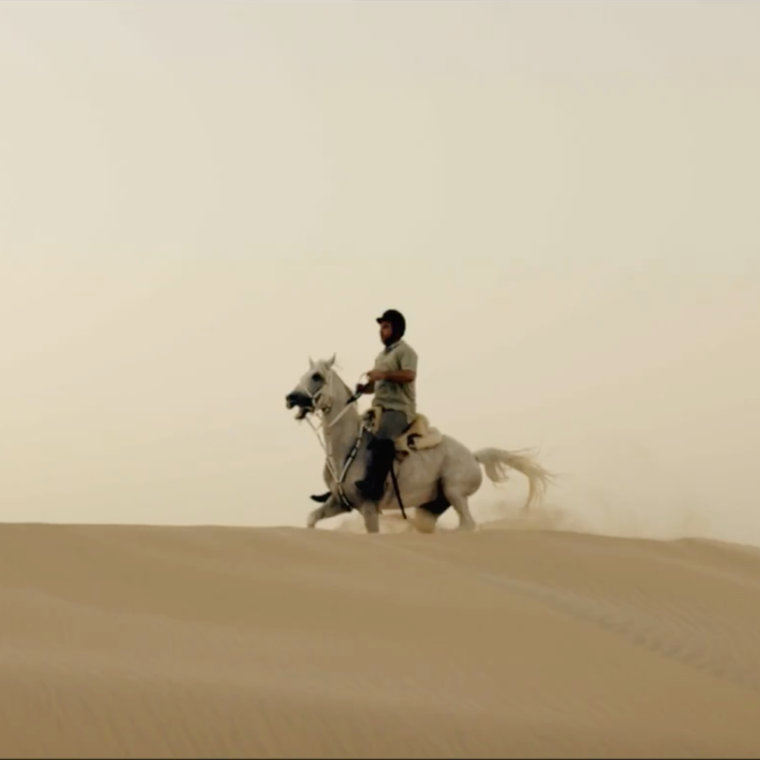 Life in Abu Dhabi: horse-riding 