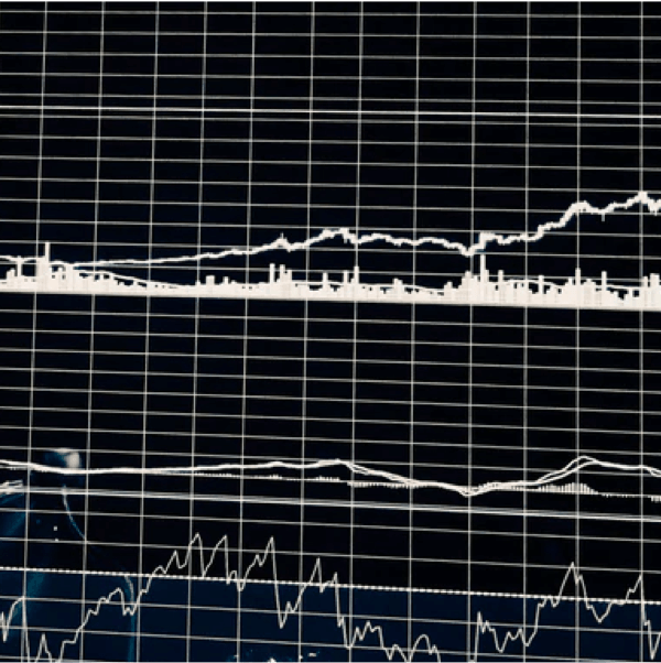 ADIA invests across the spectrum of hedge funds and other alternative strategies.